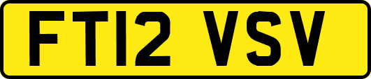 FT12VSV