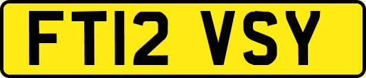 FT12VSY