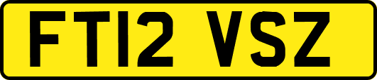 FT12VSZ