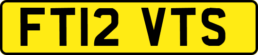 FT12VTS