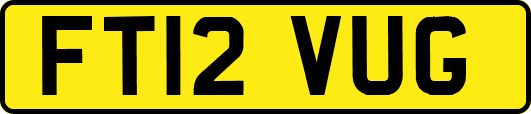 FT12VUG