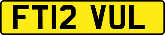 FT12VUL