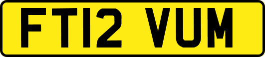 FT12VUM