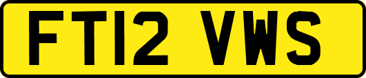 FT12VWS