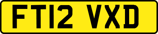 FT12VXD