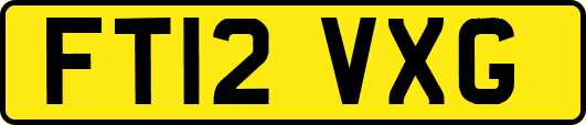 FT12VXG