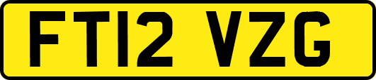 FT12VZG