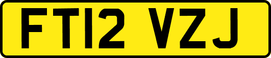 FT12VZJ