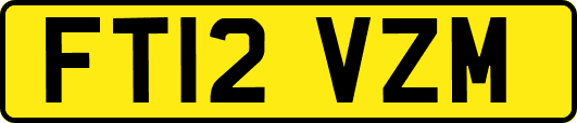 FT12VZM