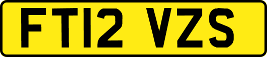 FT12VZS