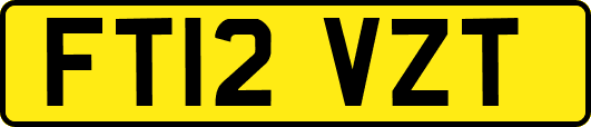 FT12VZT