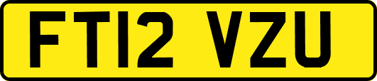 FT12VZU