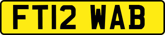 FT12WAB