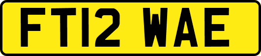 FT12WAE