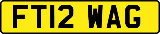 FT12WAG