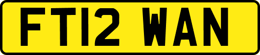 FT12WAN