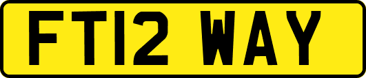 FT12WAY