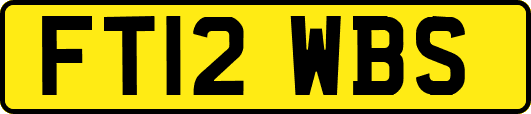 FT12WBS