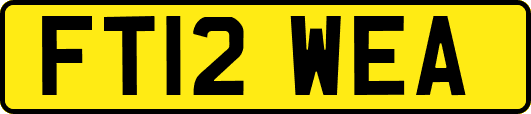 FT12WEA