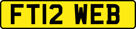 FT12WEB