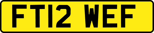 FT12WEF