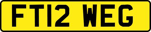 FT12WEG