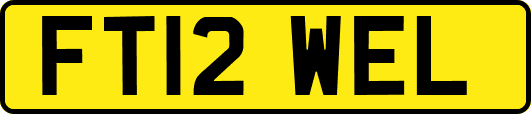 FT12WEL