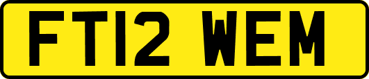 FT12WEM