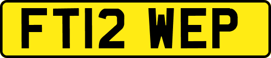 FT12WEP