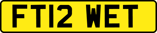 FT12WET