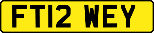 FT12WEY