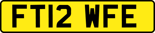 FT12WFE