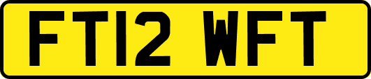 FT12WFT