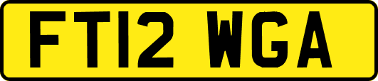 FT12WGA