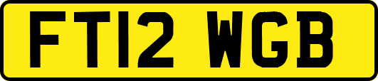 FT12WGB