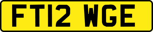 FT12WGE