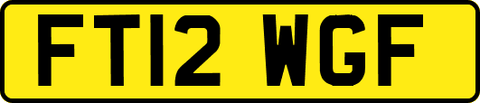 FT12WGF