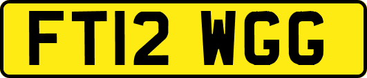 FT12WGG