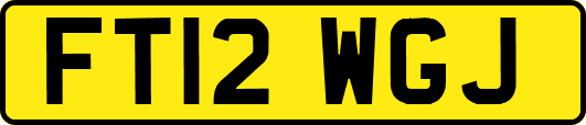FT12WGJ