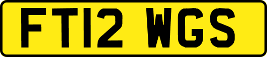 FT12WGS