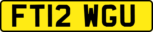 FT12WGU