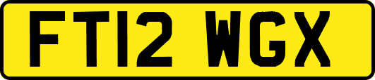 FT12WGX