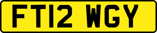 FT12WGY