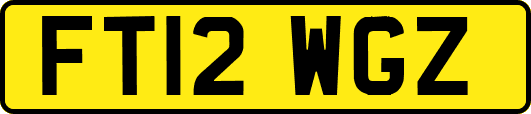 FT12WGZ