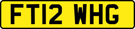FT12WHG