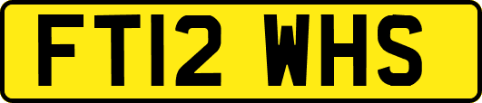 FT12WHS