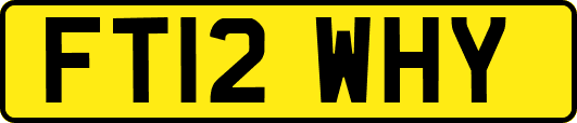 FT12WHY