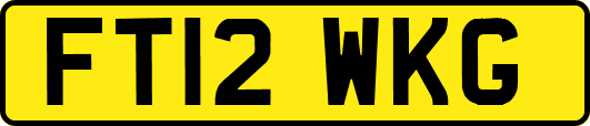 FT12WKG