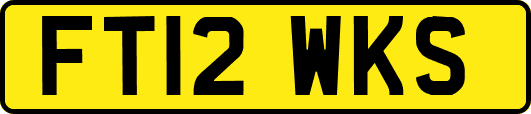 FT12WKS