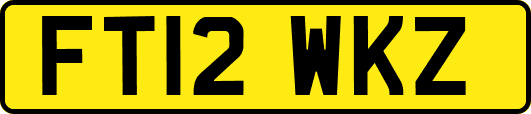 FT12WKZ